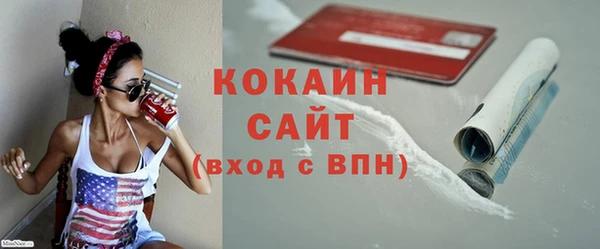 шишки Ладушкин