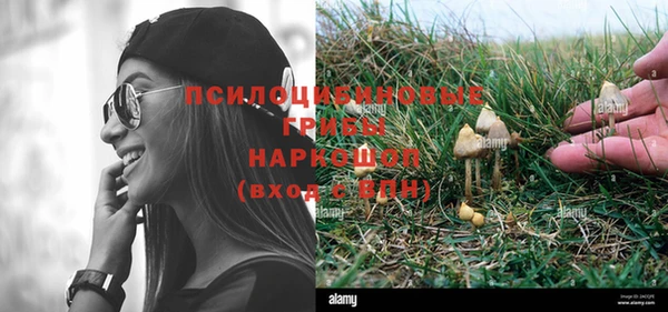 прущие крисы Алексеевка