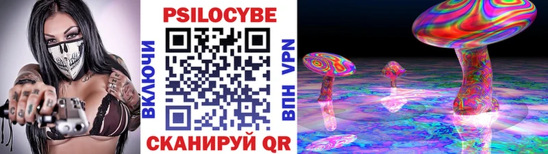 Псилоцибиновые грибы Cubensis  Тавда 